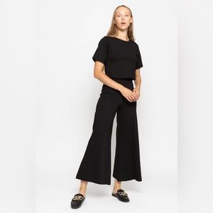 Ripley Radar Black Ponte Knit Wide Leg Pant: Cropped Length 3+